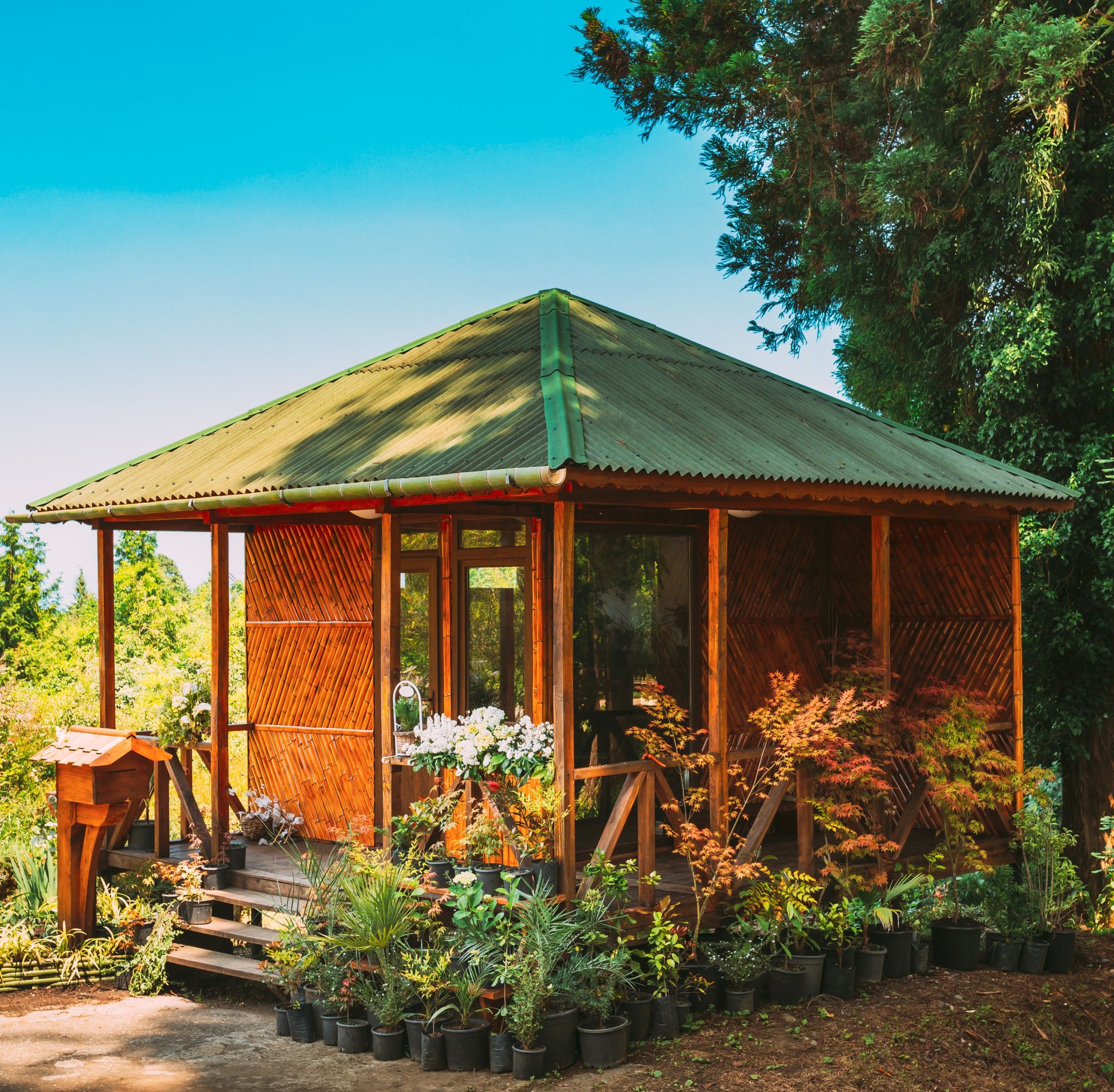 Casita Renovations and Remodeling